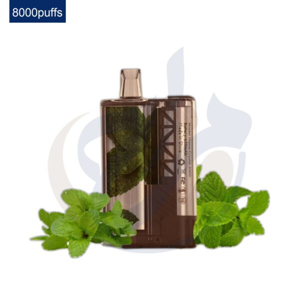اشتري VAPSI Crystal 8K Mint Hookah Disposable اونلاين – افضل اسعار وافضل شحن