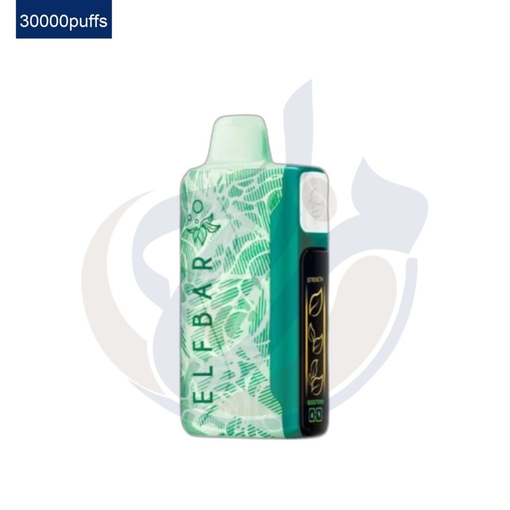 اشتري Elfbar Nic King 30K Miami Mint Disposable اونلاين – افضل اسعار وافضل شحن
