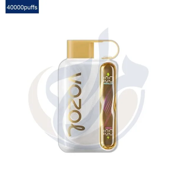 اشتري VOZOL Star 40K Strawberry Watermelon Disposable اونلاين – افضل اسعار وافضل شحن