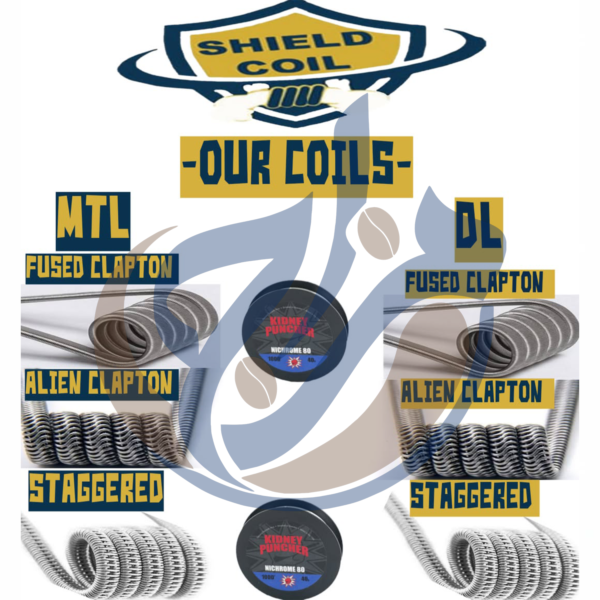 Shield Coil
