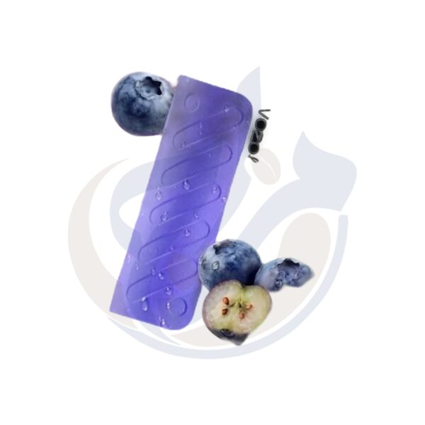اشتري Vozol Gear Hookah 40k Blueberry Mint Disposble اونلاين – افضل اسعار وافضل شحن
