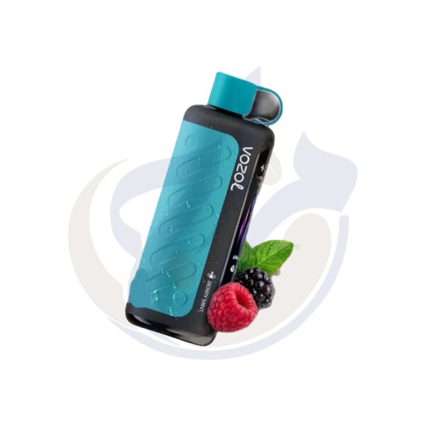 اشتري Vozol Gear Hookah 40k Berry Mint Disposble اونلاين – افضل اسعار وافضل شحن