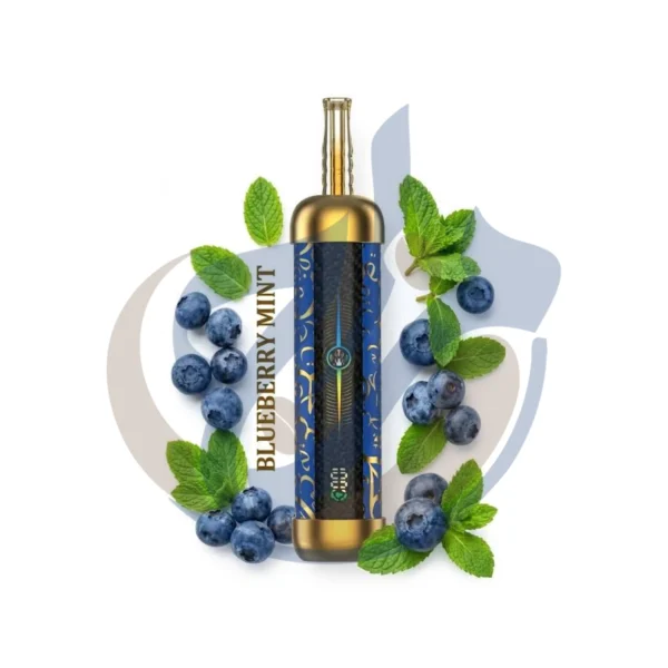 صورة منتج OLIT Hookalit 60K Blueberry Mint Disposable عالية الدقة من متجر المزاج ستور مصر